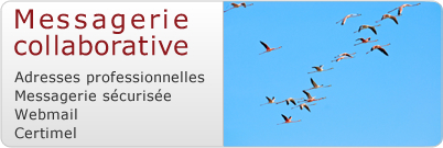 AvocatLine: les emails du Cabinet messagerie collaborative